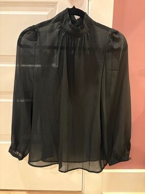 Sheer Blouse